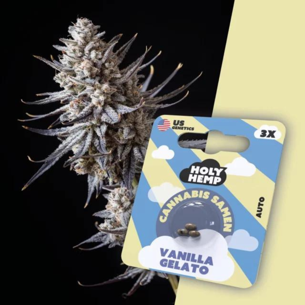 Holy Hemp - Vanilla Gelato - 3 Samen