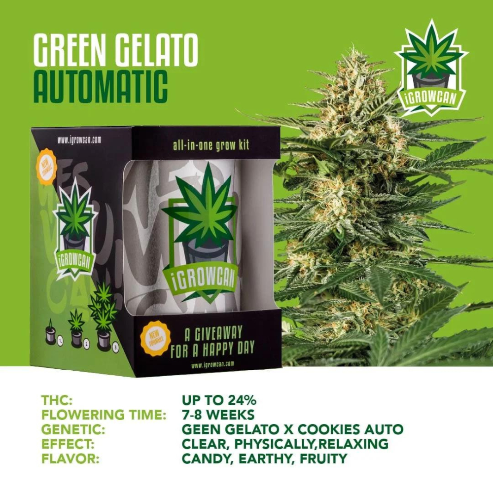 iGrowCan - Automatic - Green Gelato