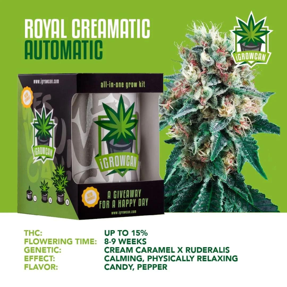 iGrowCan - Automatic - Royal Creamatic